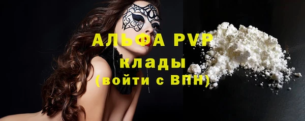 твердый Снежногорск