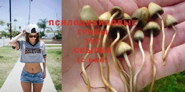 скорость Волосово