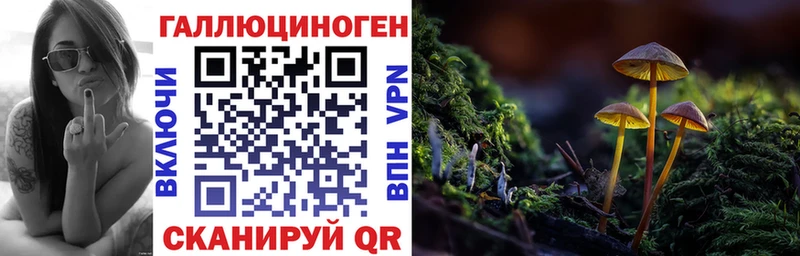 kraken ссылки  что такое   Майкоп  Галлюциногенные грибы GOLDEN TEACHER 